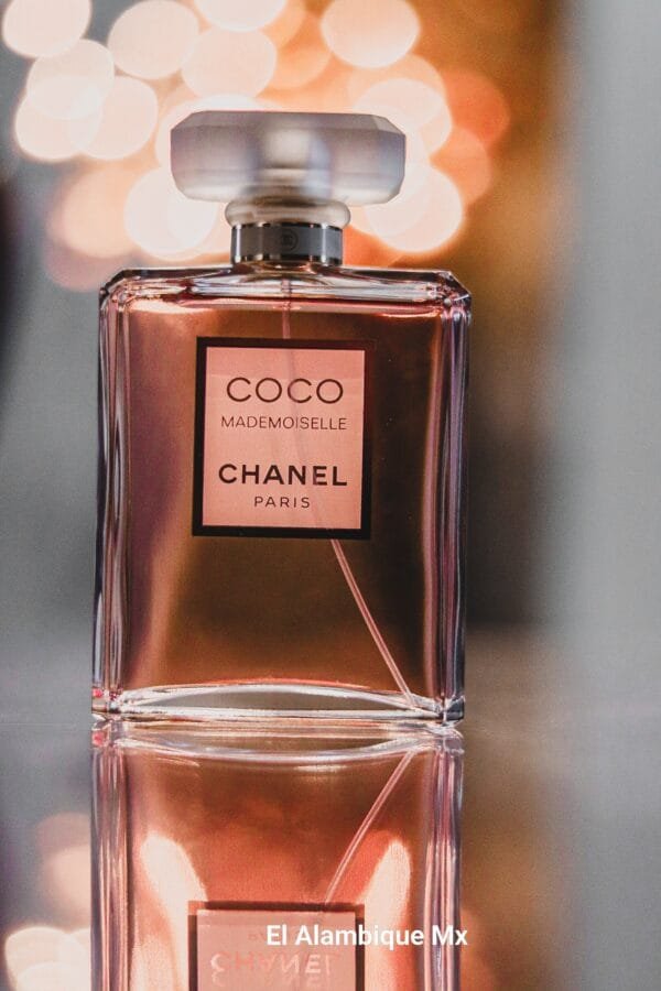 Perfume Coco Chanel para Mujer 100 ml - Image 3